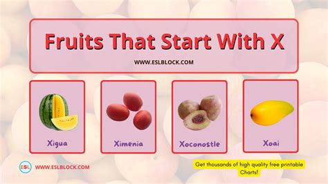 what fruit starts with x|Fruits That Start with X (Complete List of 10+ Fruit Names).